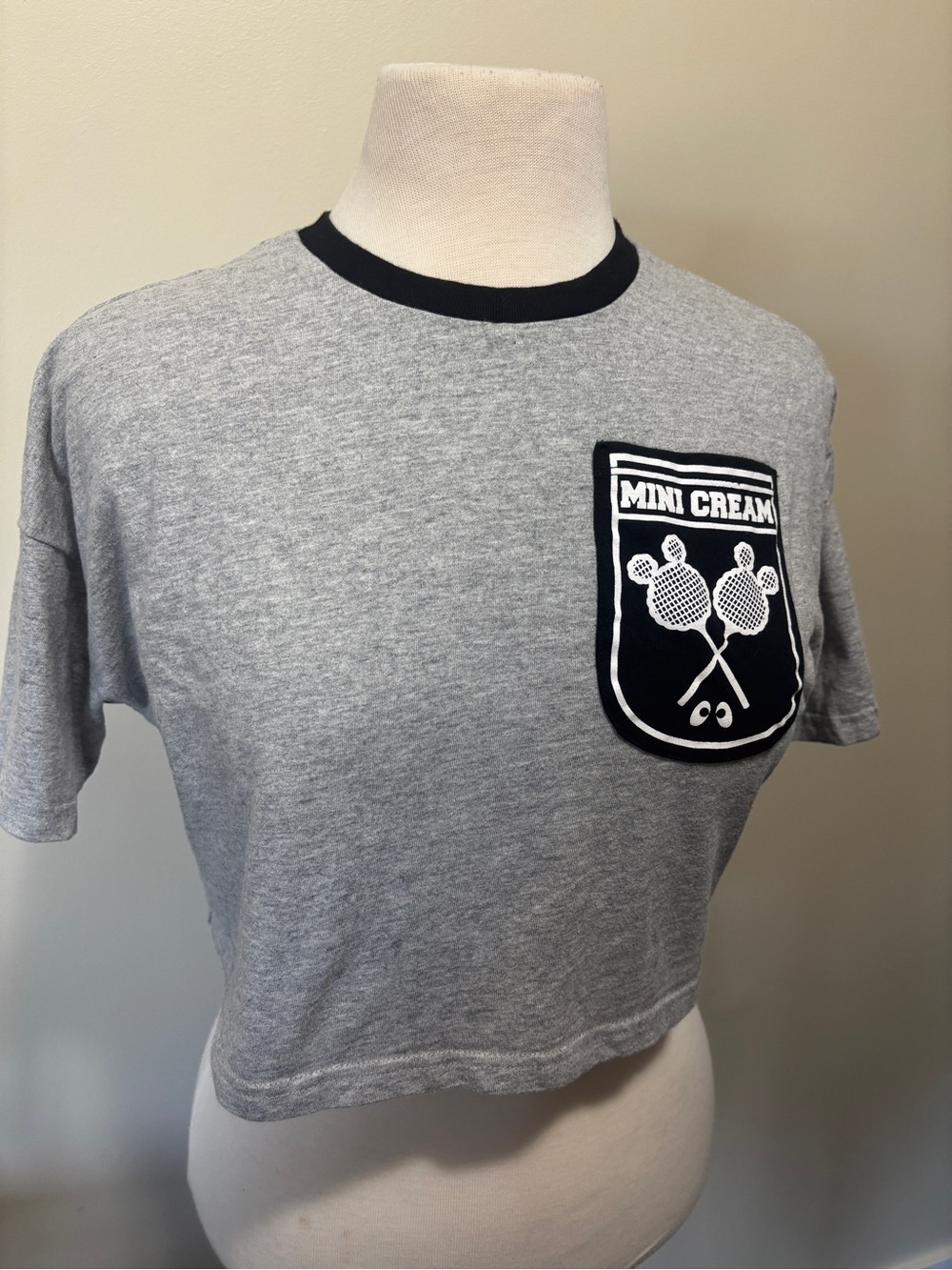 Gray Cropped Tee with Black Trim